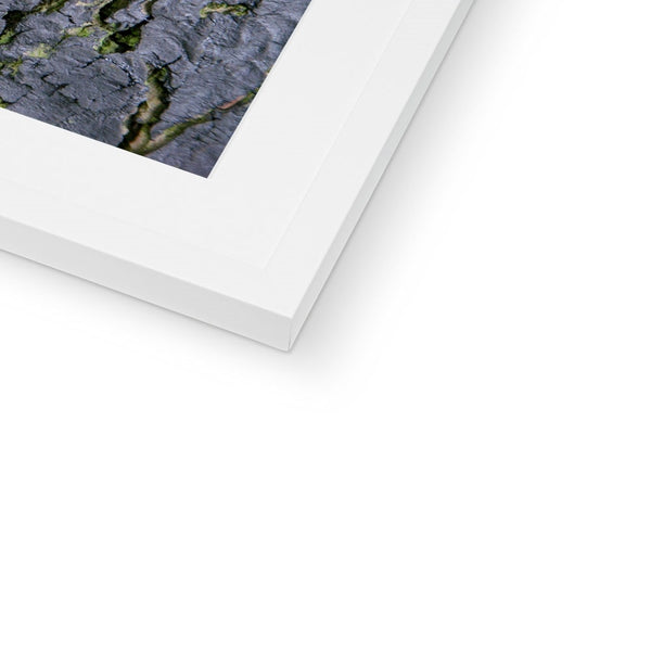 DAUB:TOOTING COMMON Framed & Mounted Print - Amy Adams Photography