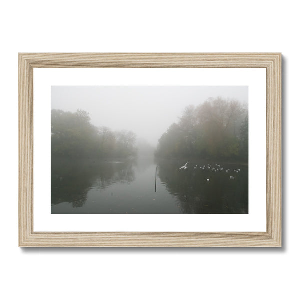 FOGGY POND Framed & Mounted Print - Amy Adams Photography