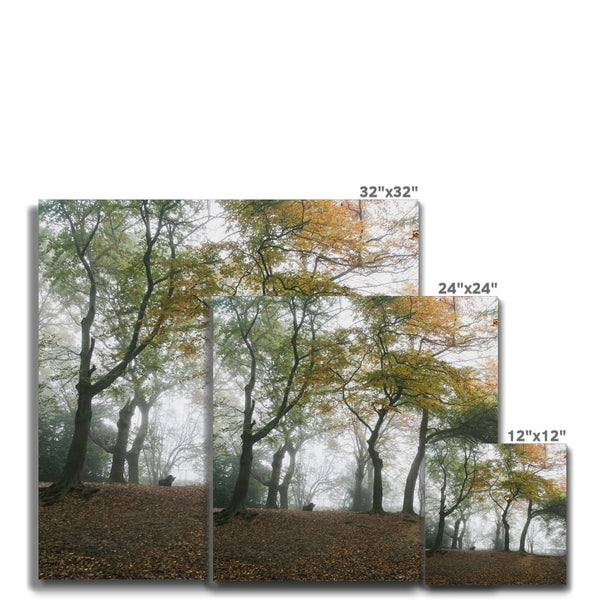 FOGGY GRAVENEY WOODS Canvas - Amy Adams Photography
