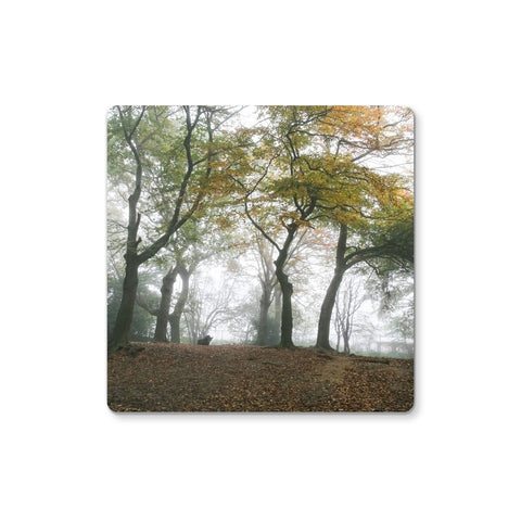 FOGGY GRAVENEY WOODS Coaster - Amy Adams Photography