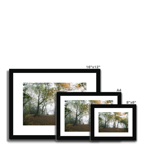 FOGGY GRAVENEY WOODS Framed & Mounted Print - Amy Adams Photography