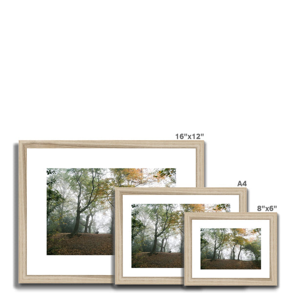 FOGGY GRAVENEY WOODS Framed & Mounted Print - Amy Adams Photography