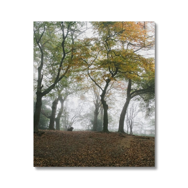 FOGGY GRAVENEY WOODS Canvas - Amy Adams Photography
