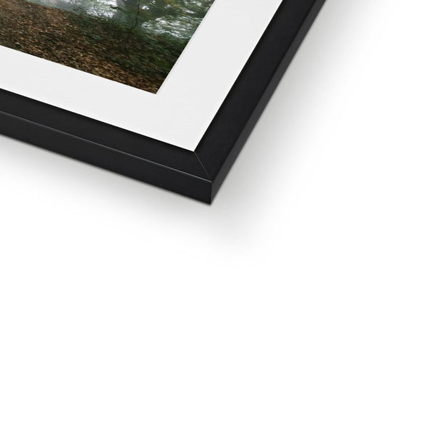 FOGGY GRAVENEY WOODS Framed & Mounted Print - Amy Adams Photography