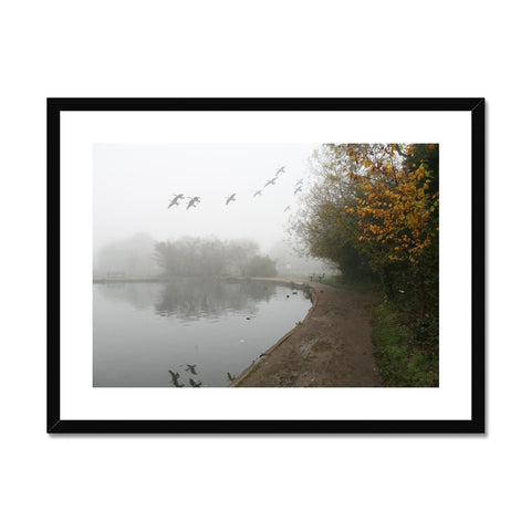 FOGGY TOOTING COMMON POND BIRDS Framed & Mounted Print - Amy Adams Photography