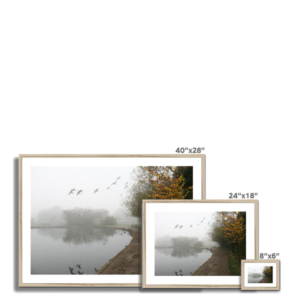 FOGGY TOOTING COMMON POND BIRDS Framed & Mounted Print - Amy Adams Photography