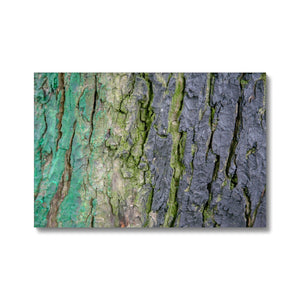 DAUB:TOOTING COMMON Canvas - Amy Adams Photography