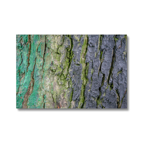 DAUB:TOOTING COMMON Canvas - Amy Adams Photography