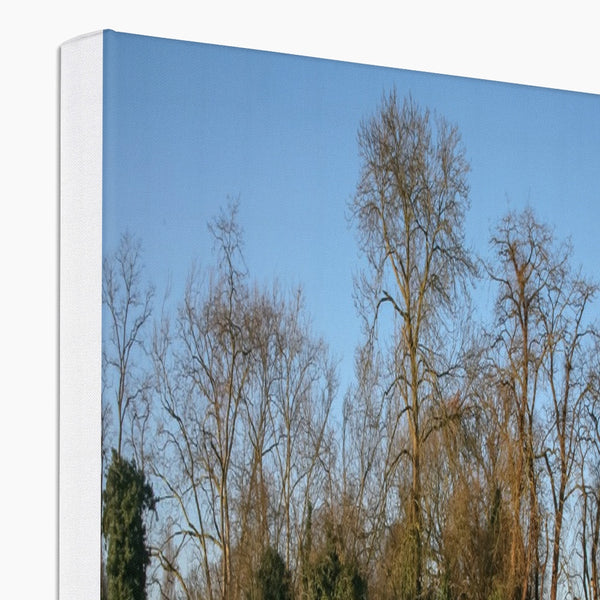 TOOTING BEC LIDO WITH TREES Canvas - Amy Adams Photography