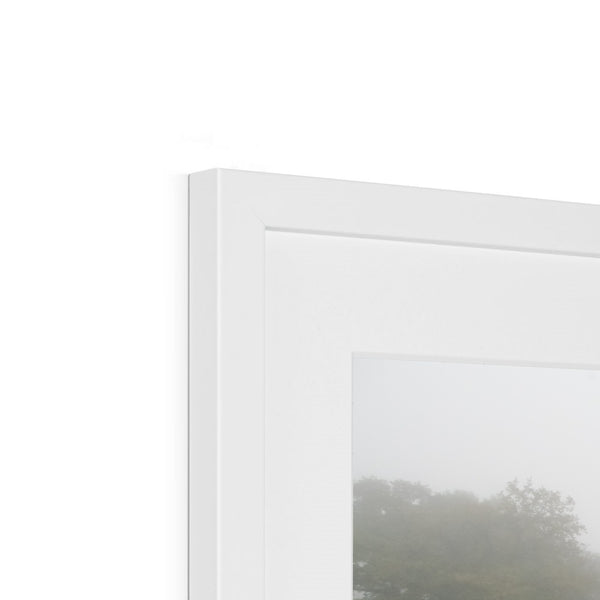 FOGGY POND Framed & Mounted Print - Amy Adams Photography