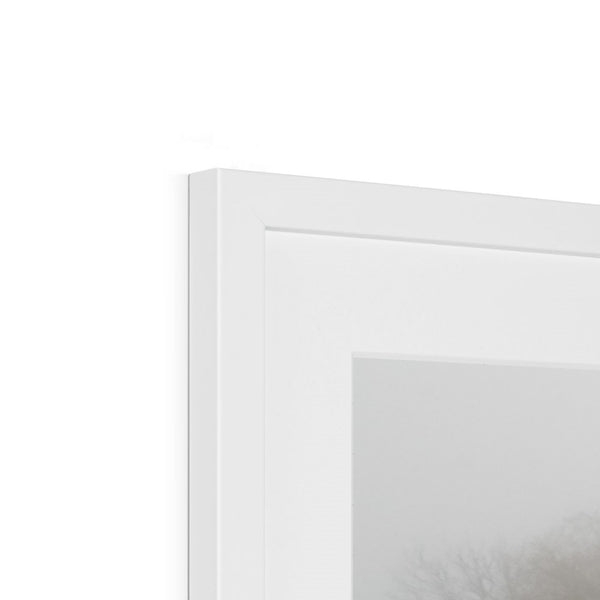 FOGGY PATH Framed & Mounted Print - Amy Adams Photography