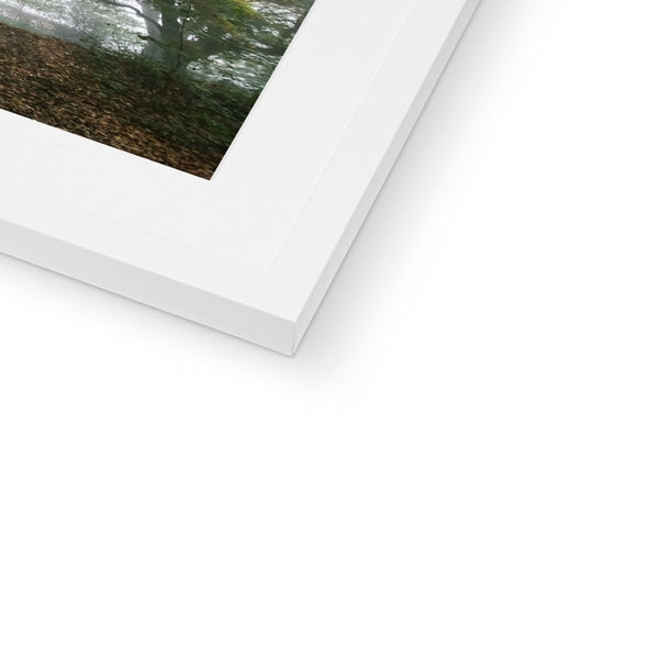 FOGGY GRAVENEY WOODS Framed & Mounted Print - Amy Adams Photography