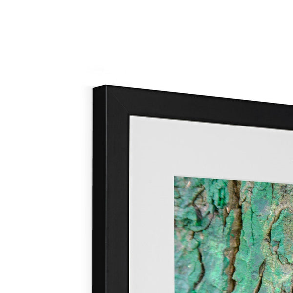 DAUB:TOOTING COMMON Framed & Mounted Print - Amy Adams Photography