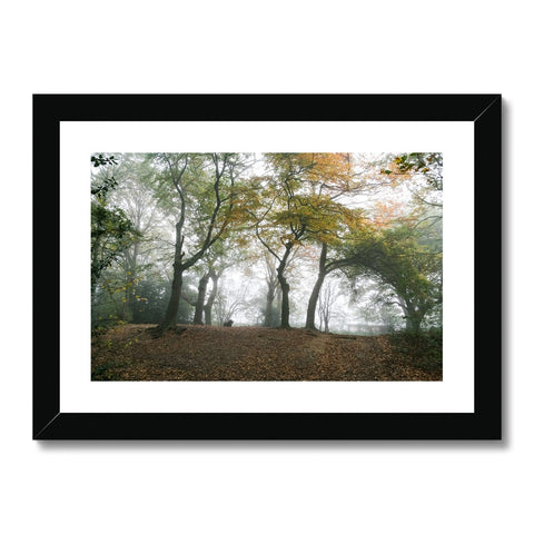 FOGGY GRAVENEY WOODS Framed & Mounted Print - Amy Adams Photography