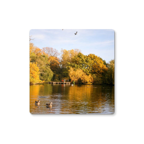 AUTUMN IN TOOTING Coaster - Amy Adams Photography