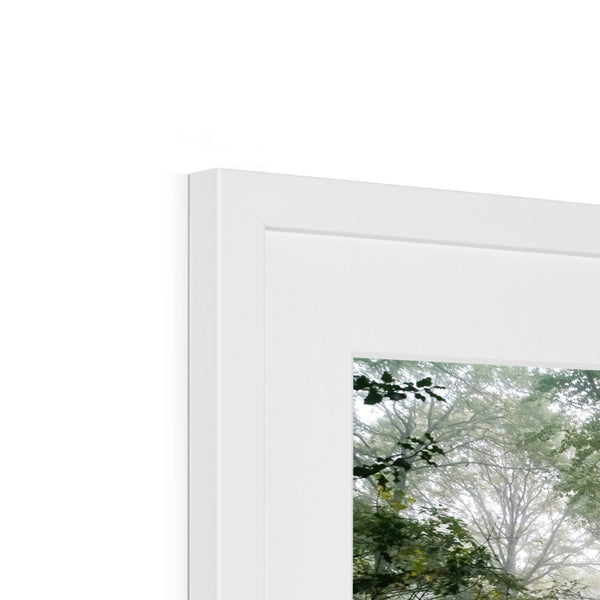 FOGGY GRAVENEY WOODS Framed & Mounted Print - Amy Adams Photography