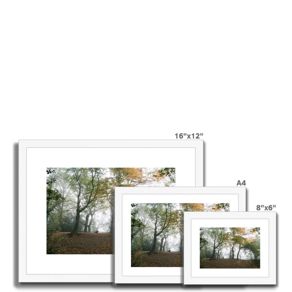FOGGY GRAVENEY WOODS Framed & Mounted Print - Amy Adams Photography