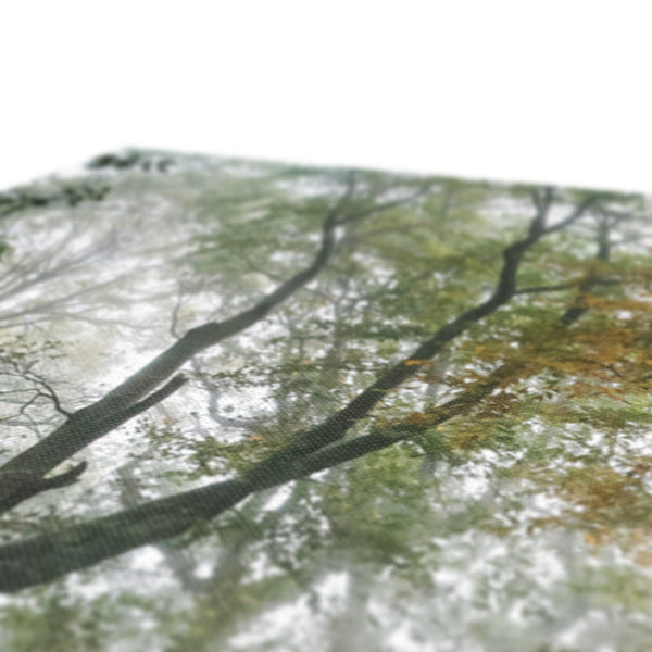 FOGGY GRAVENEY WOODS Canvas - Amy Adams Photography