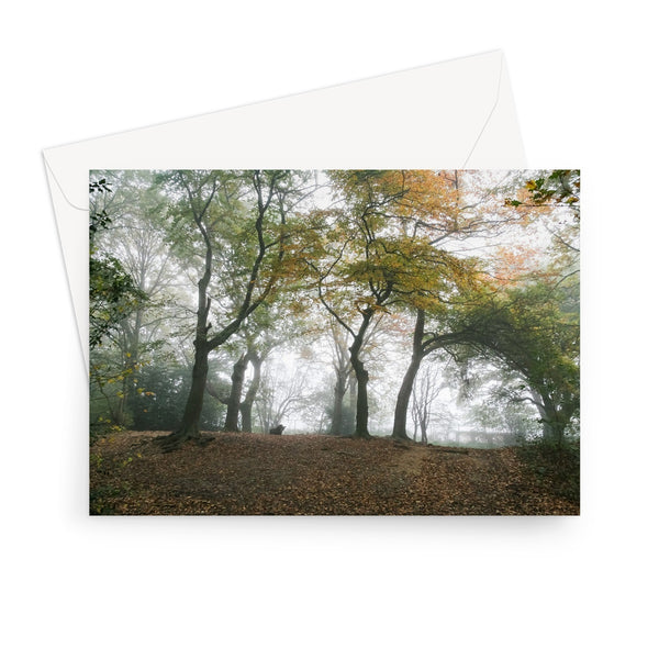 FOGGY GRAVENEY WOODS Greeting Card - Amy Adams Photography