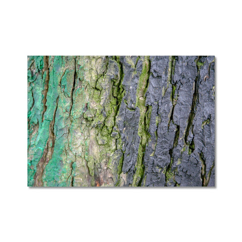 DAUB:TOOTING COMMON Hahnemühle Photo Rag Print - Amy Adams Photography