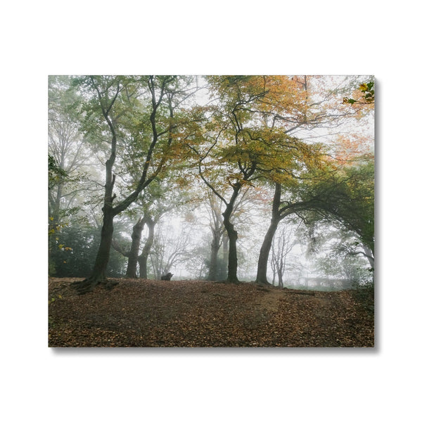FOGGY GRAVENEY WOODS Canvas - Amy Adams Photography