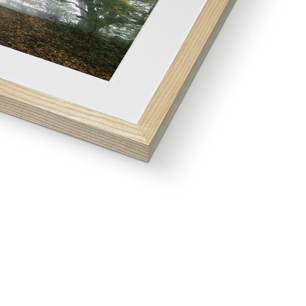 FOGGY GRAVENEY WOODS Framed & Mounted Print - Amy Adams Photography