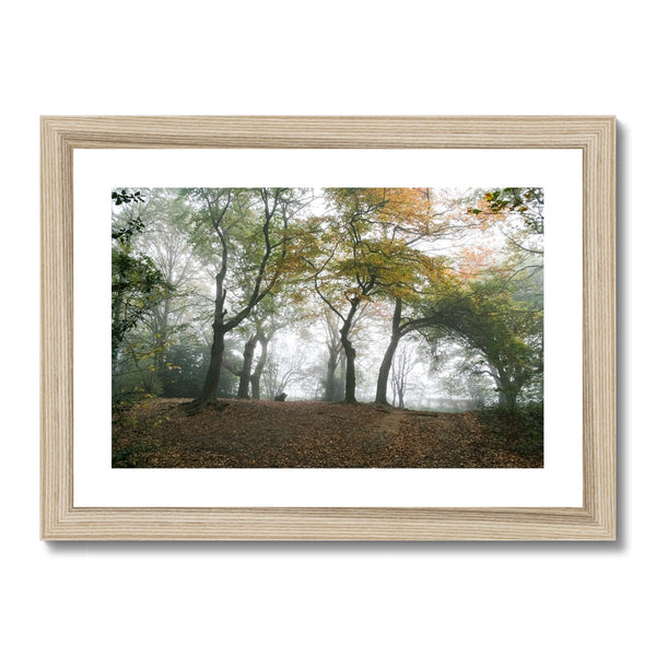 FOGGY GRAVENEY WOODS Framed & Mounted Print - Amy Adams Photography